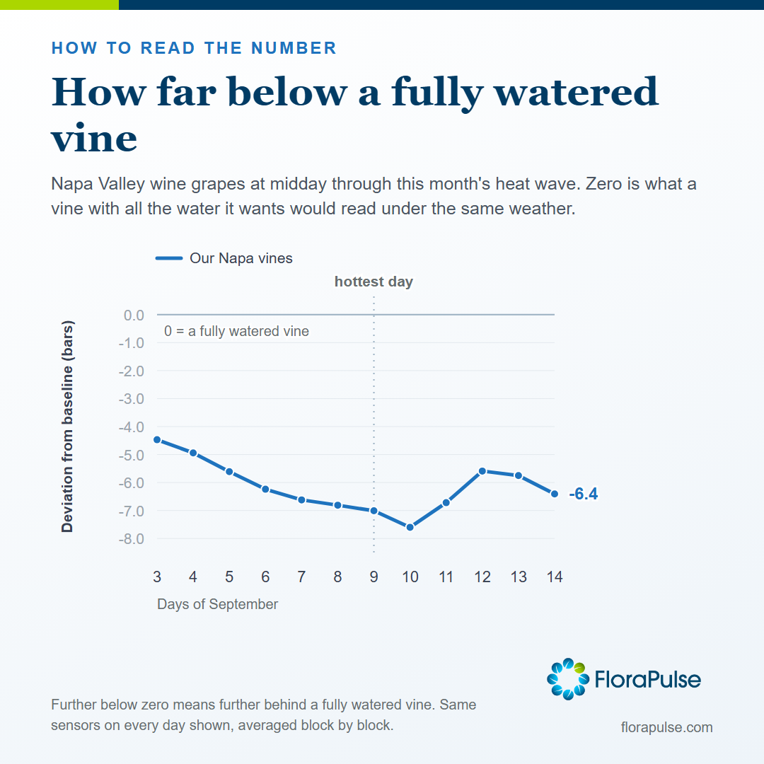 Chart of Napa Valley wine grapes at midday, September 3 to 14, 2026, plotted as deviation from baseline in bars.