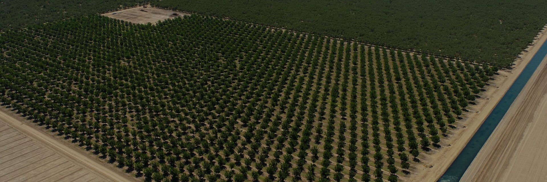 Aerial view of orchard blocks beside an irrigation canal
