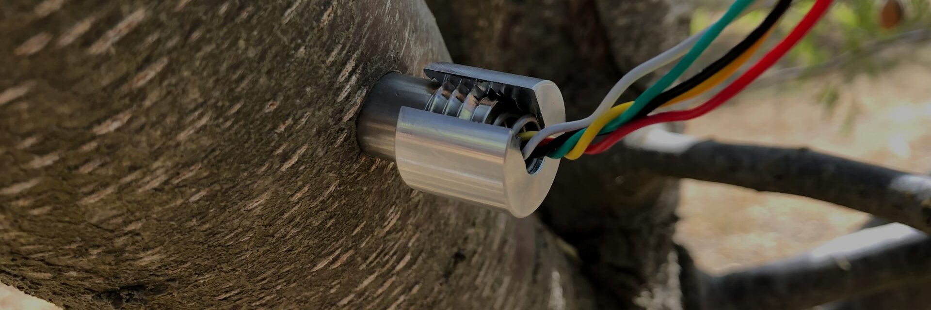 FloraPulse microtensiometer probe installed in a tree trunk